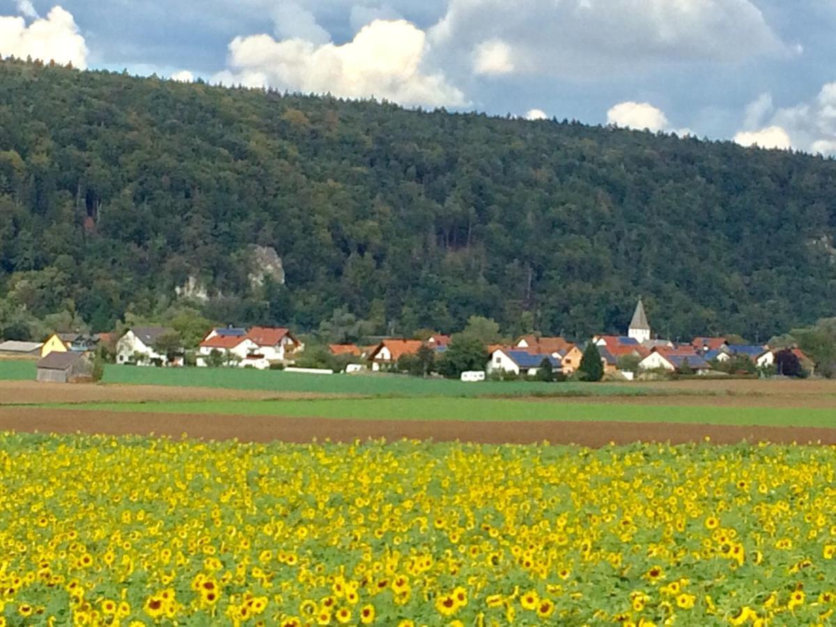 Idylle II An Der Donau Appartement Pentling Buitenkant foto